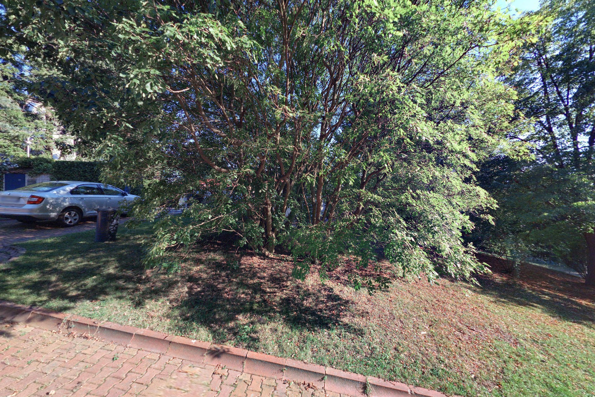 Světem rostlin foto 2