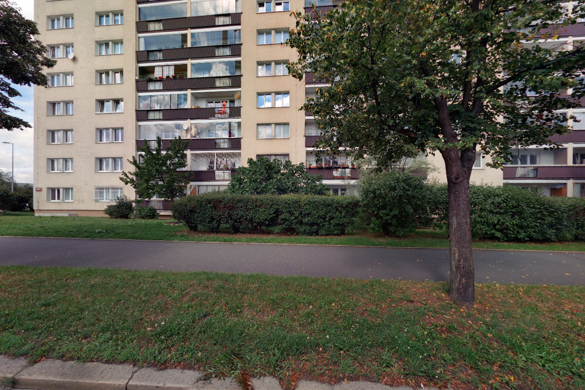 Ing. Eliška Bradková foto 1