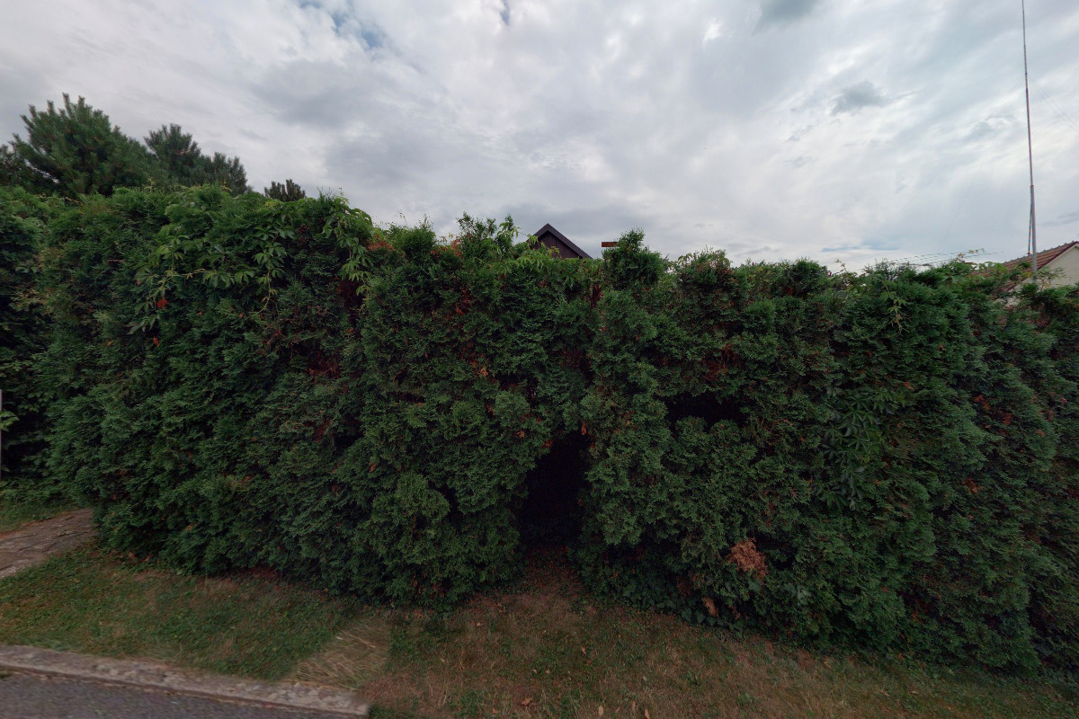 Organizační jednotka CANTES o.s. Canisterapeutická skupina Brno