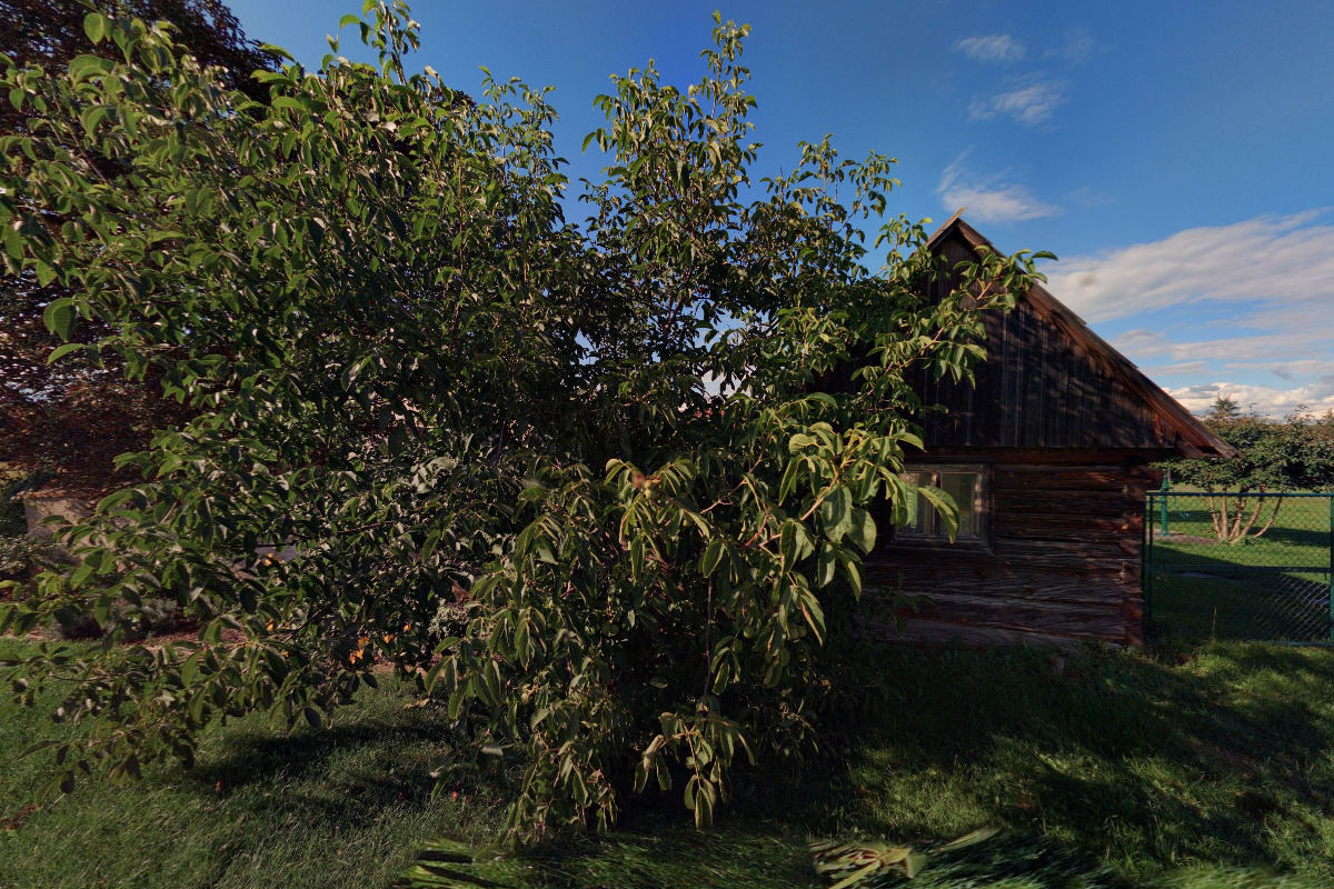 Kynologická organizace - občanské sdružení Rybníky