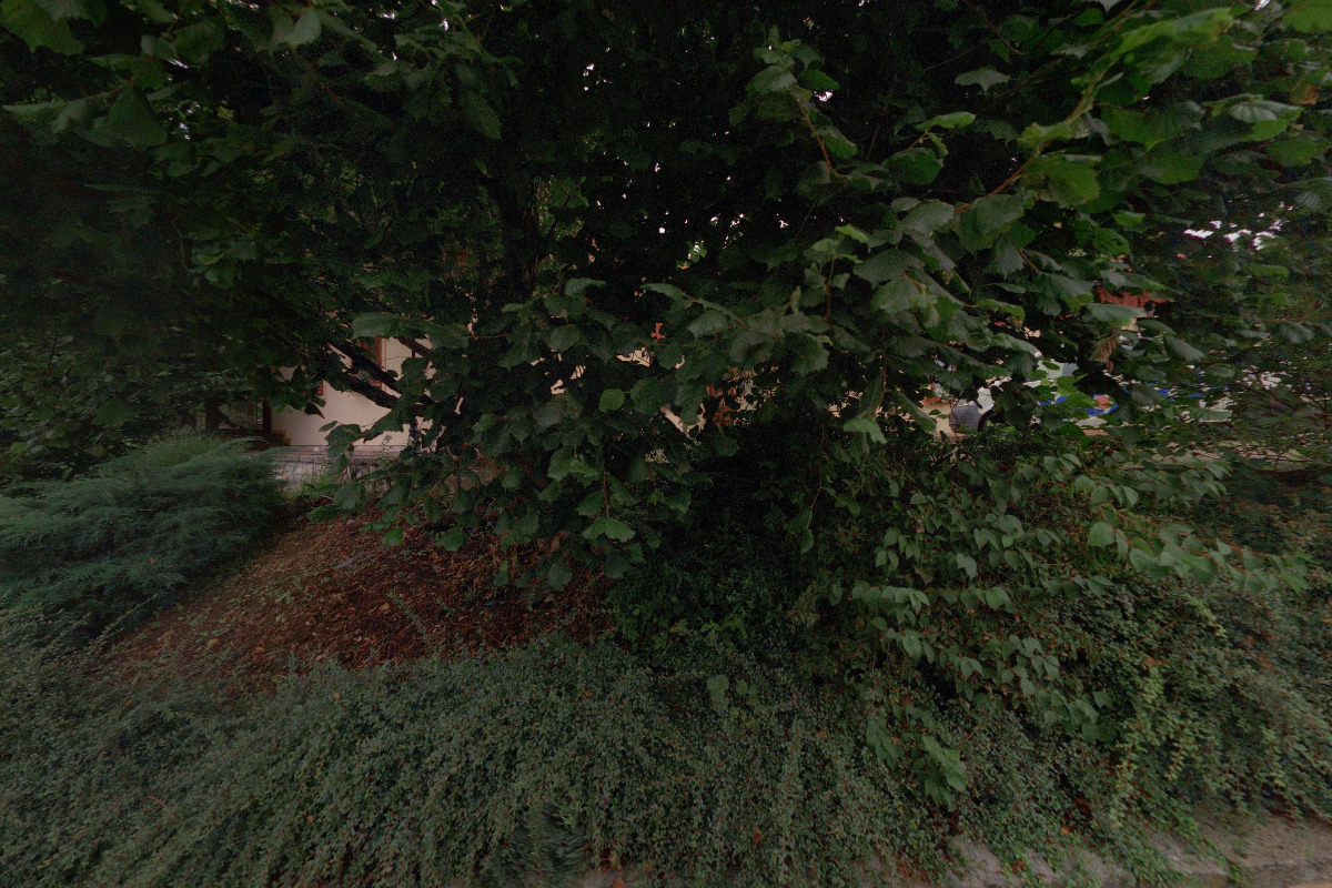 ISCAREX, s.r.o. foto 2