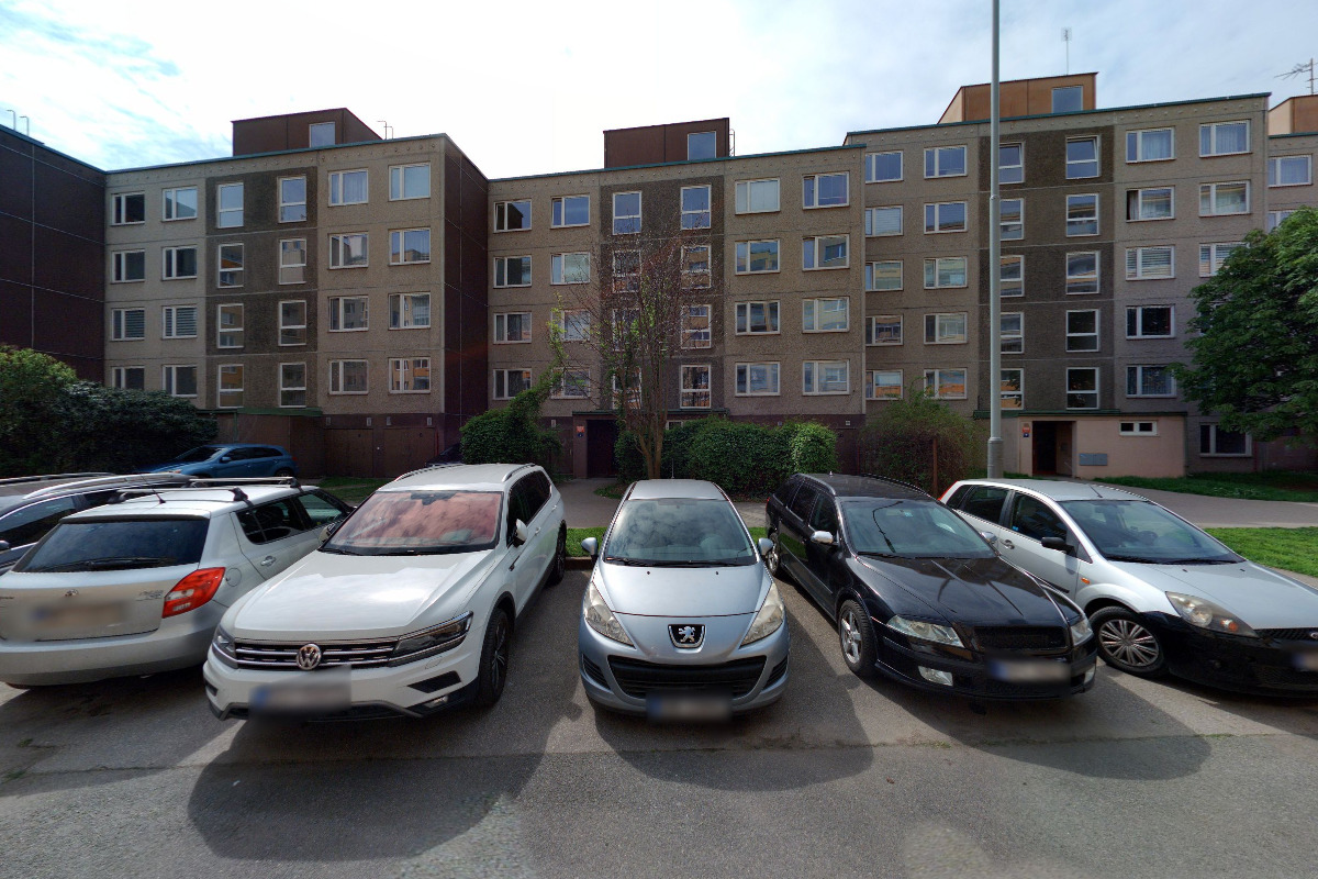 Panizlilie - Zuzana Nepevná