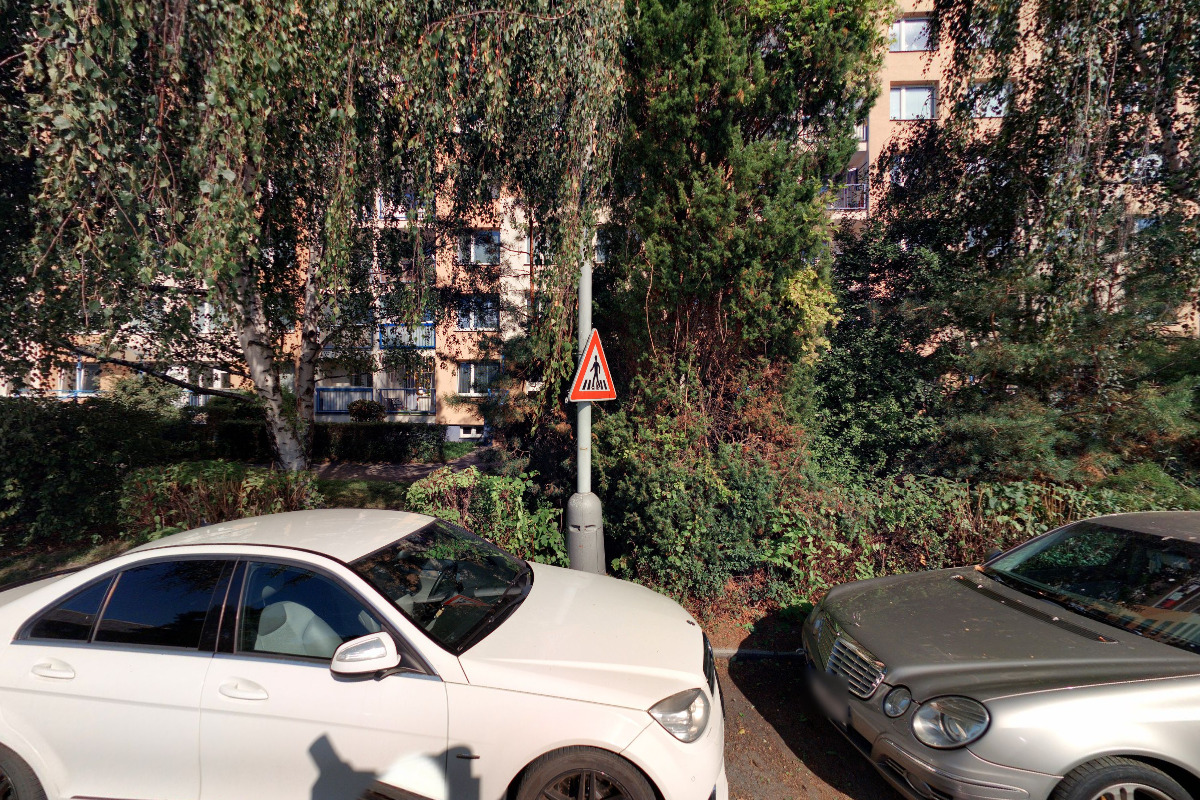 JUDr. Ing. Zlatuše Němečková, advokátka