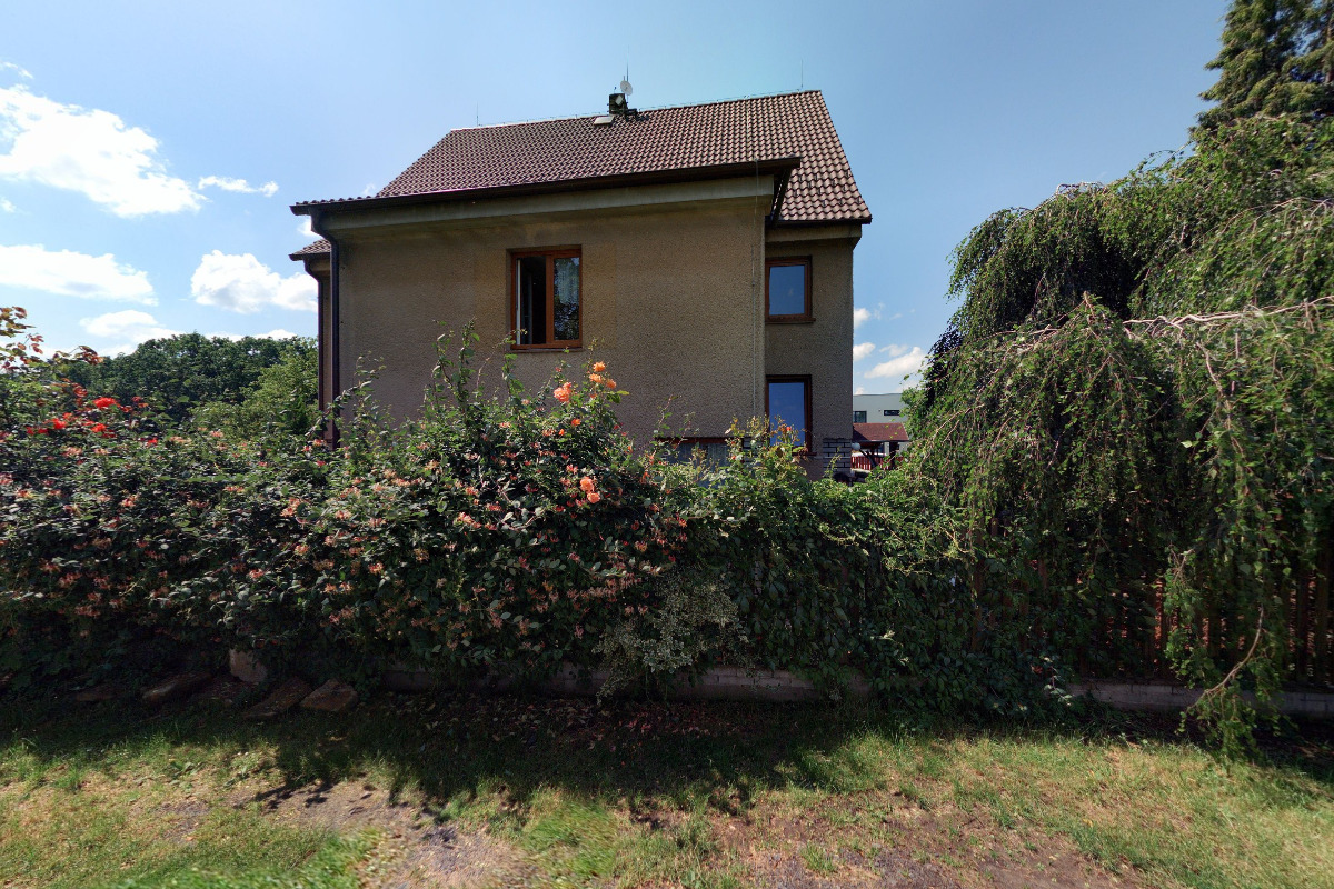 Kytička na Zavolanou