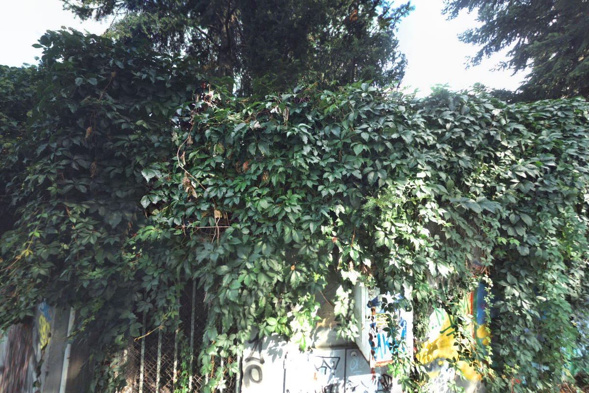 Dopravní rozvojové středisko ČR, a.s.