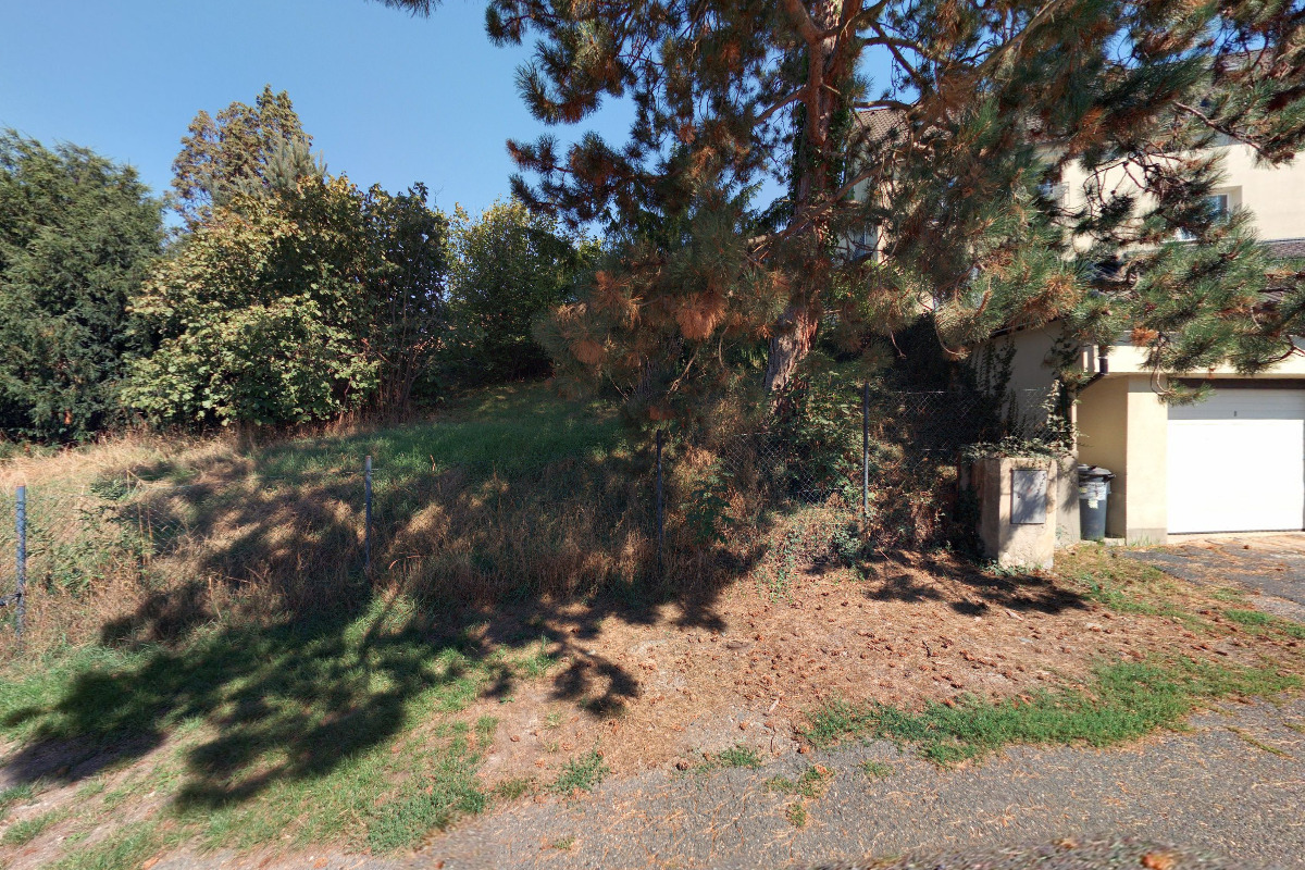 Společnost spolupracovníků Kroužkovací stanice Národního muzea