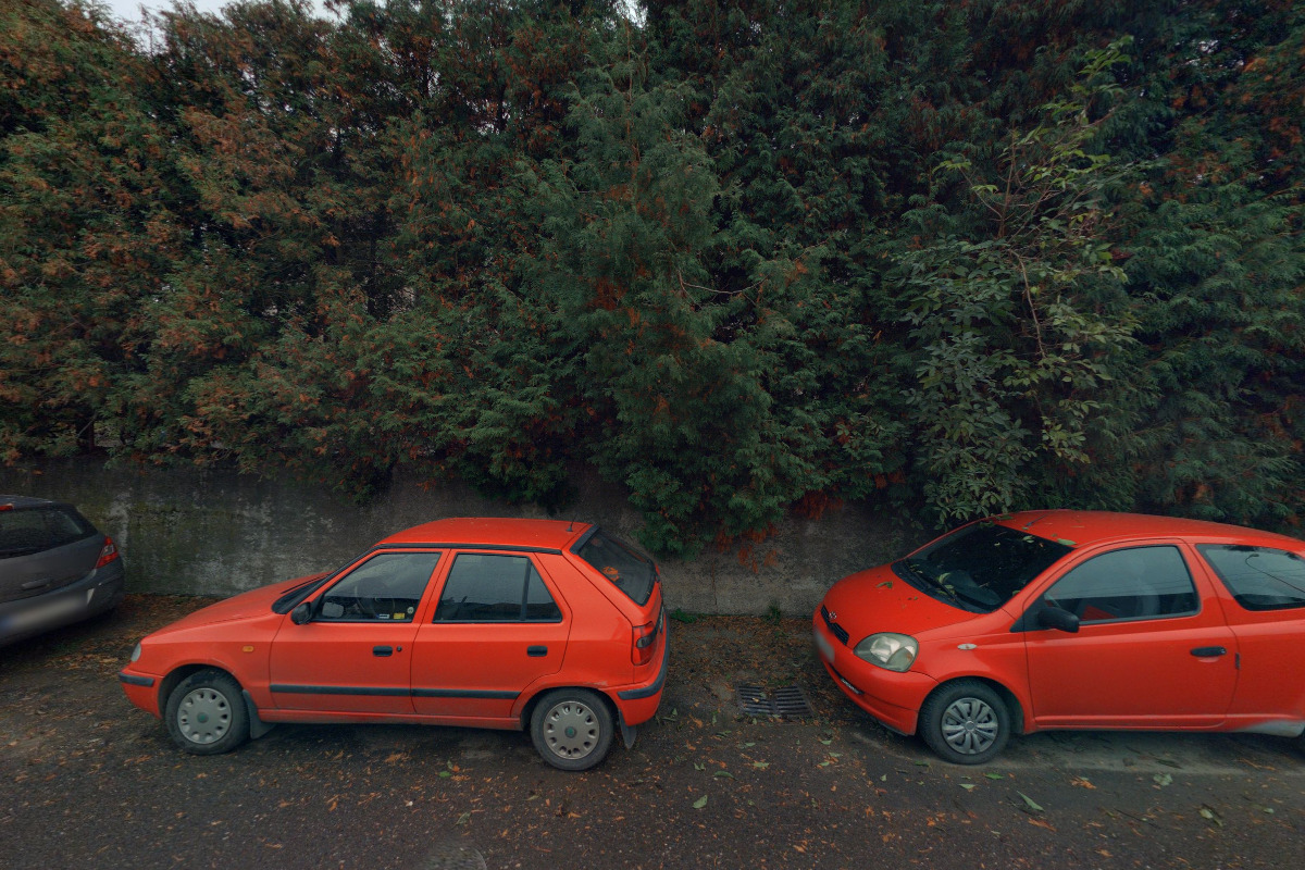 Biopekarnazemanka.cz foto 2