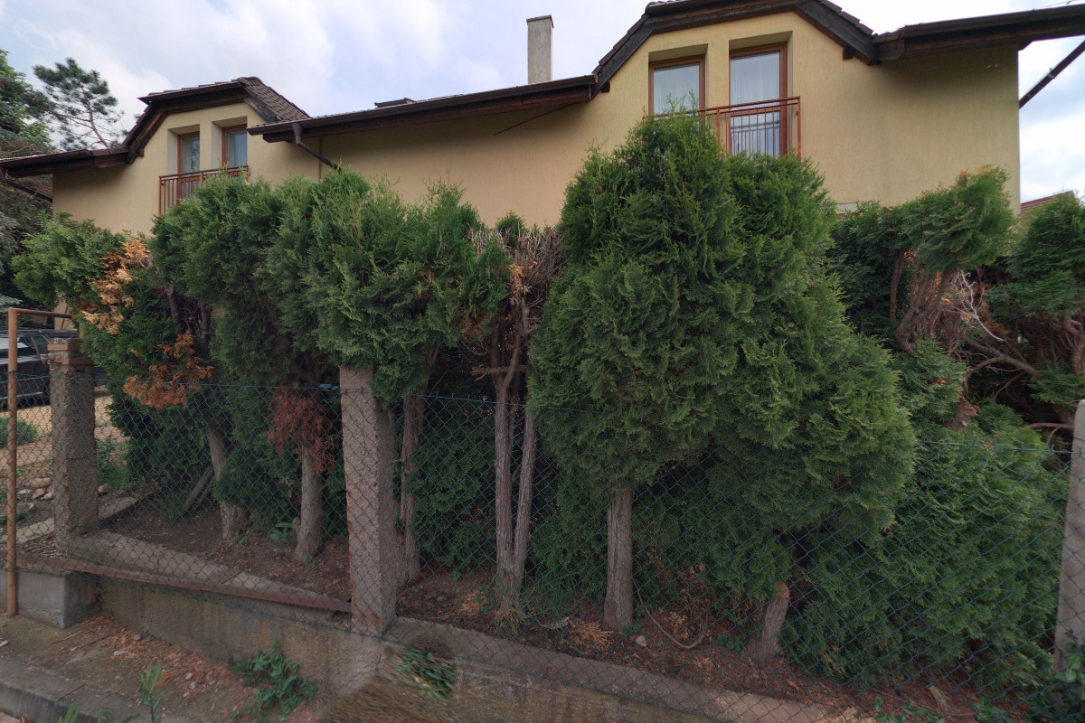 Kreslím pro Vás - Tomáš Bělohlávek foto 2