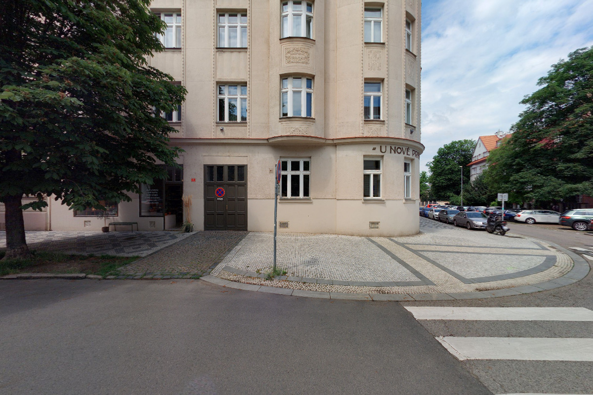 Pokojovky foto 2