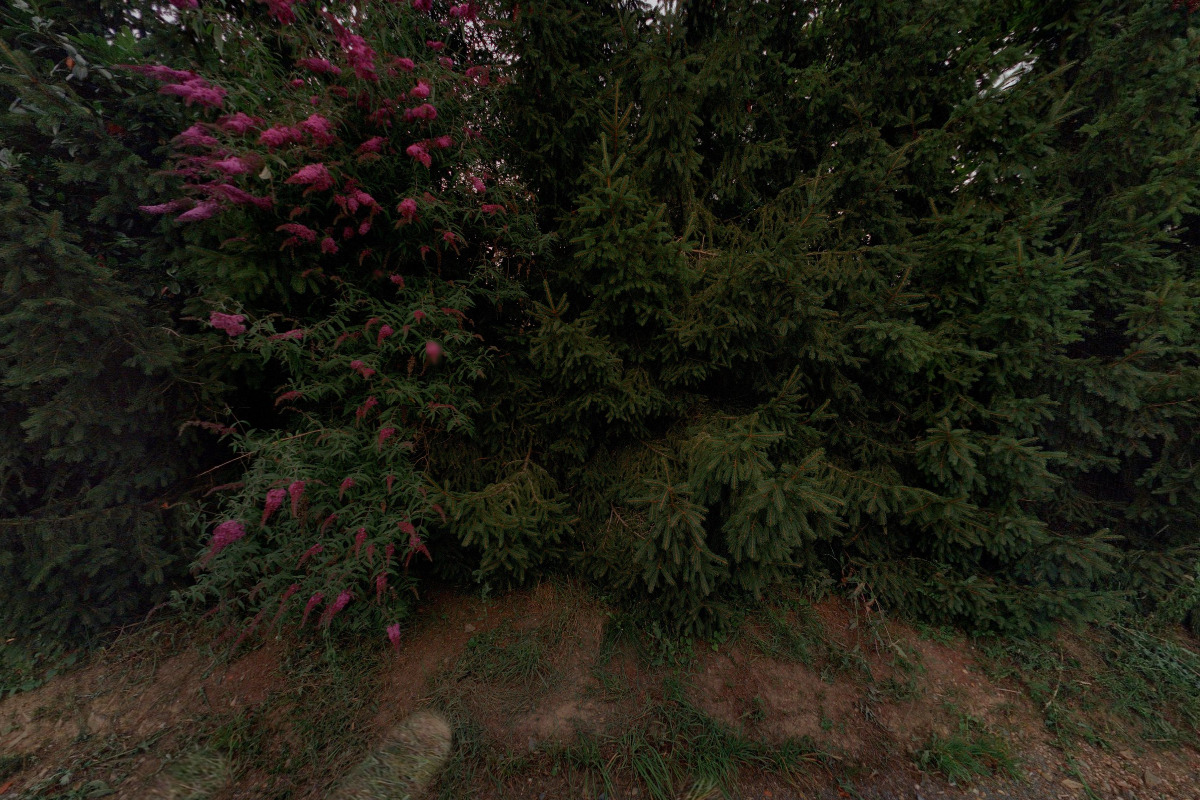 Spolek volnočasových aktivit Cholupice