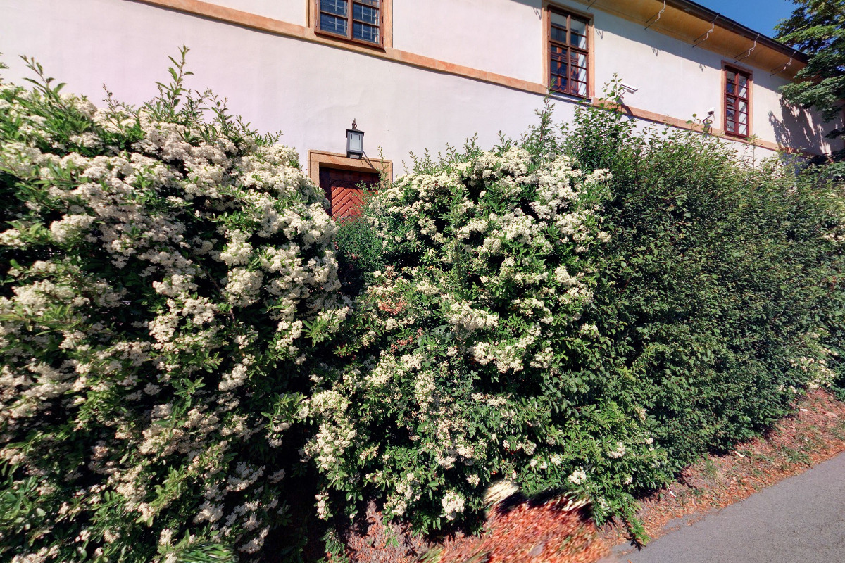 Detektivní kancelář Davida Karase