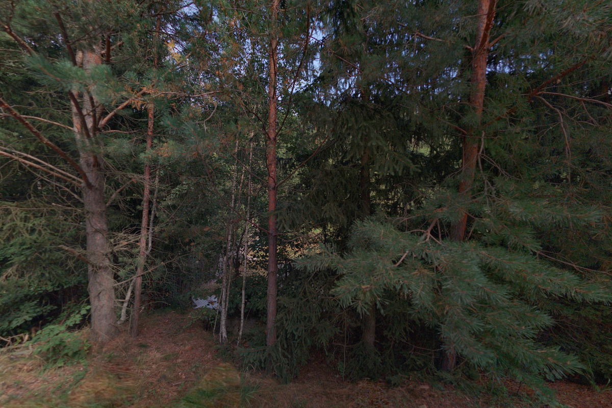 Český kynologický svaz ZKO Příbram - 095