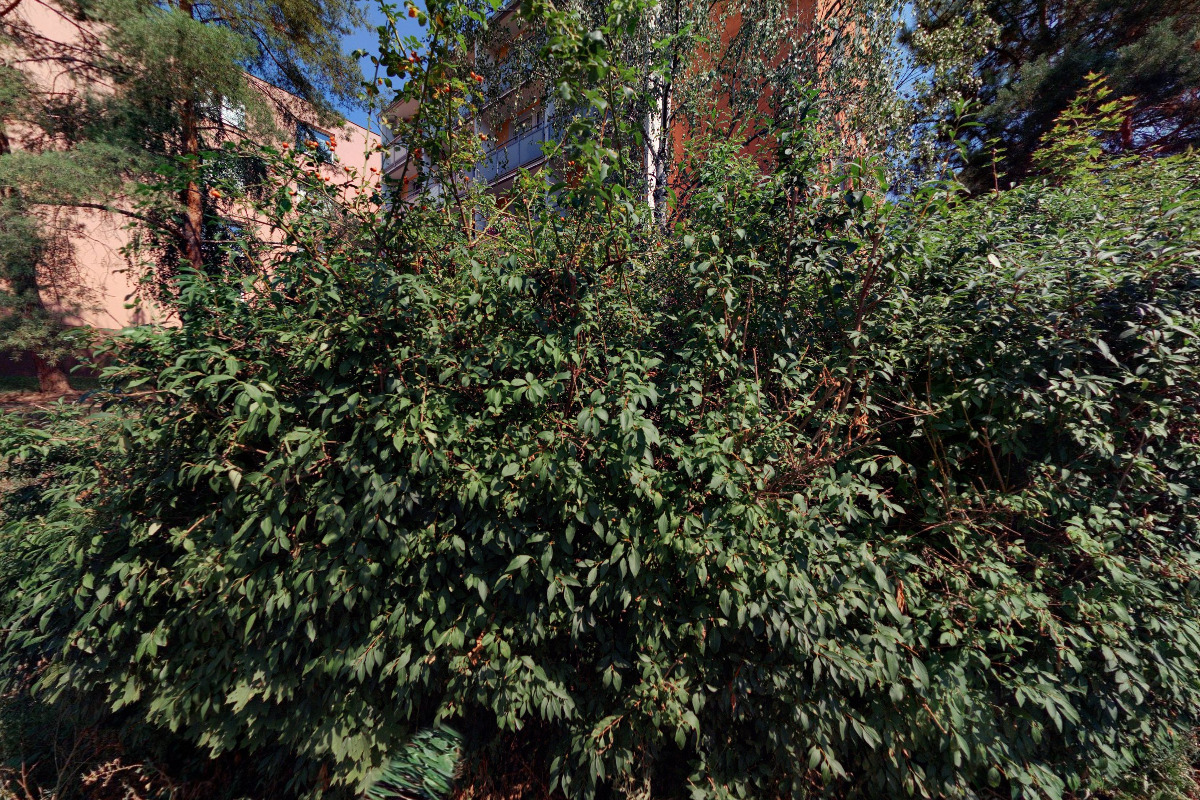 doc. JUDr. Bc. Jaromír Tauchen, Ph.D., LL.M. foto 2