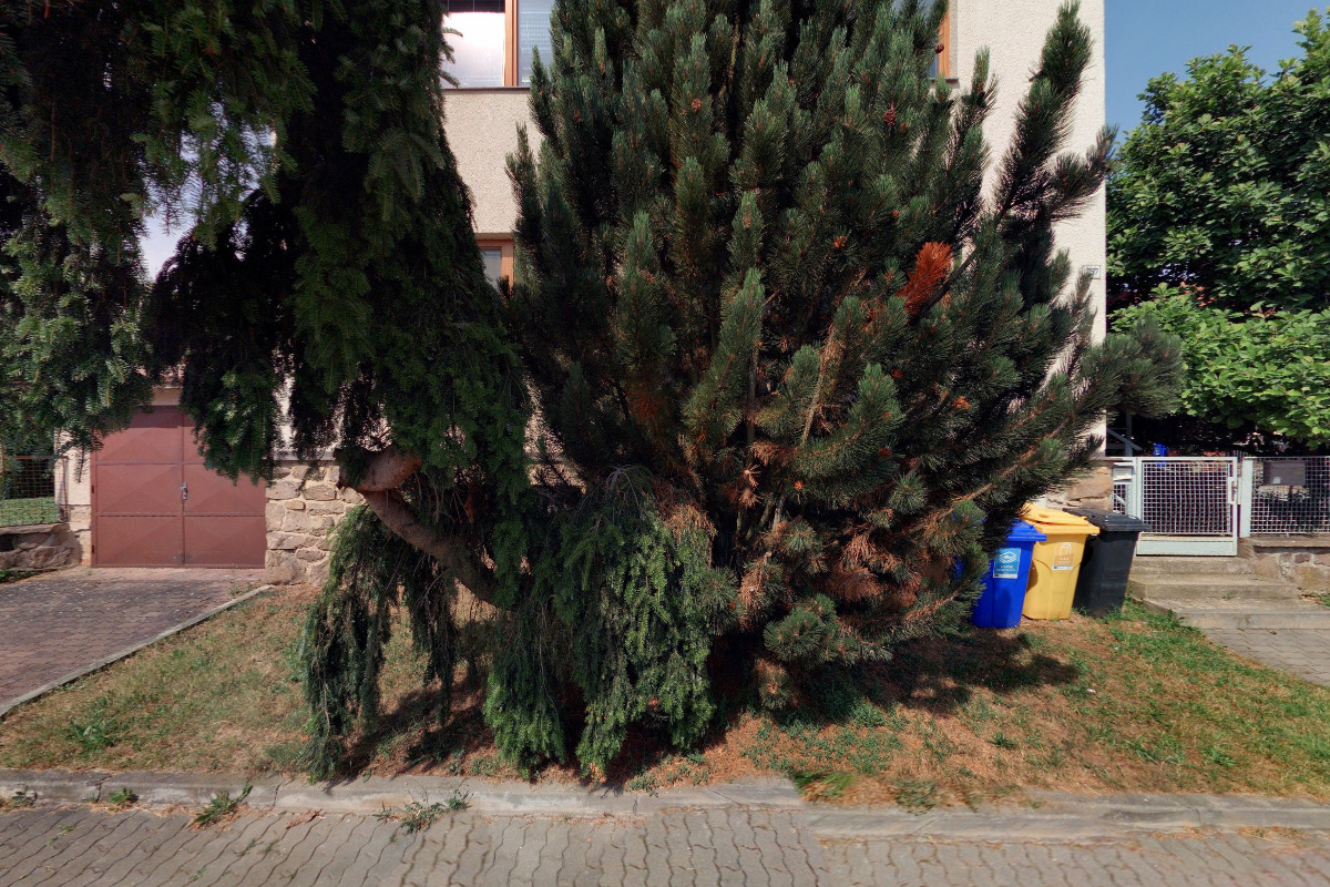 MUDr. Lea Chroustová