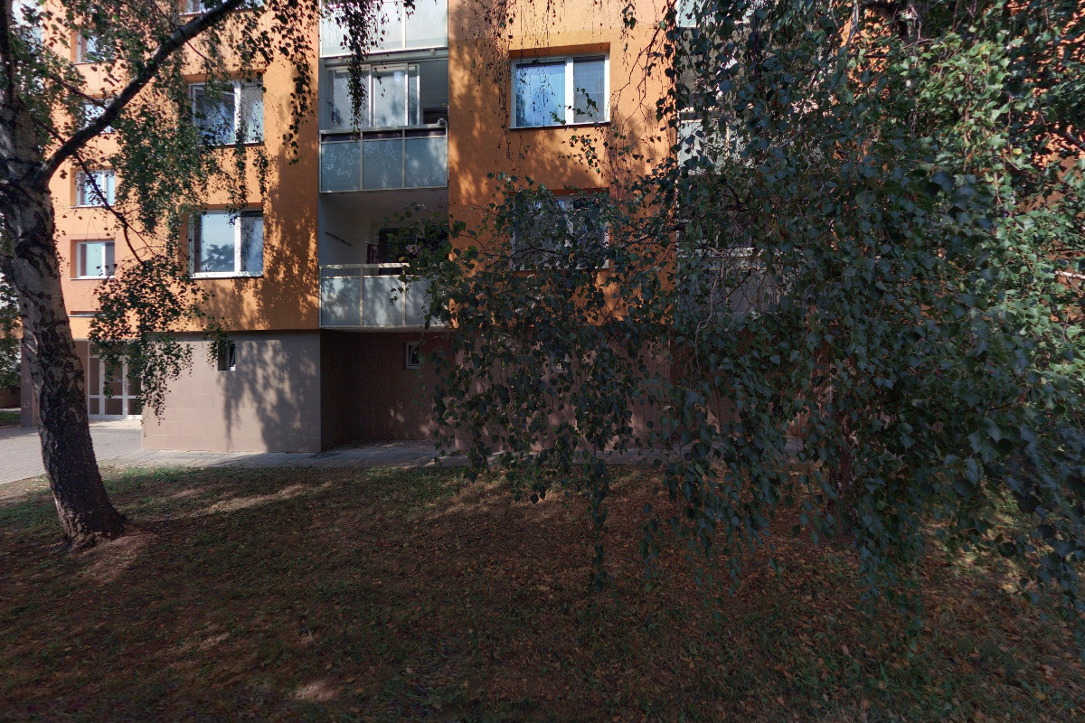 Petr Tesař - malířství a natěračství