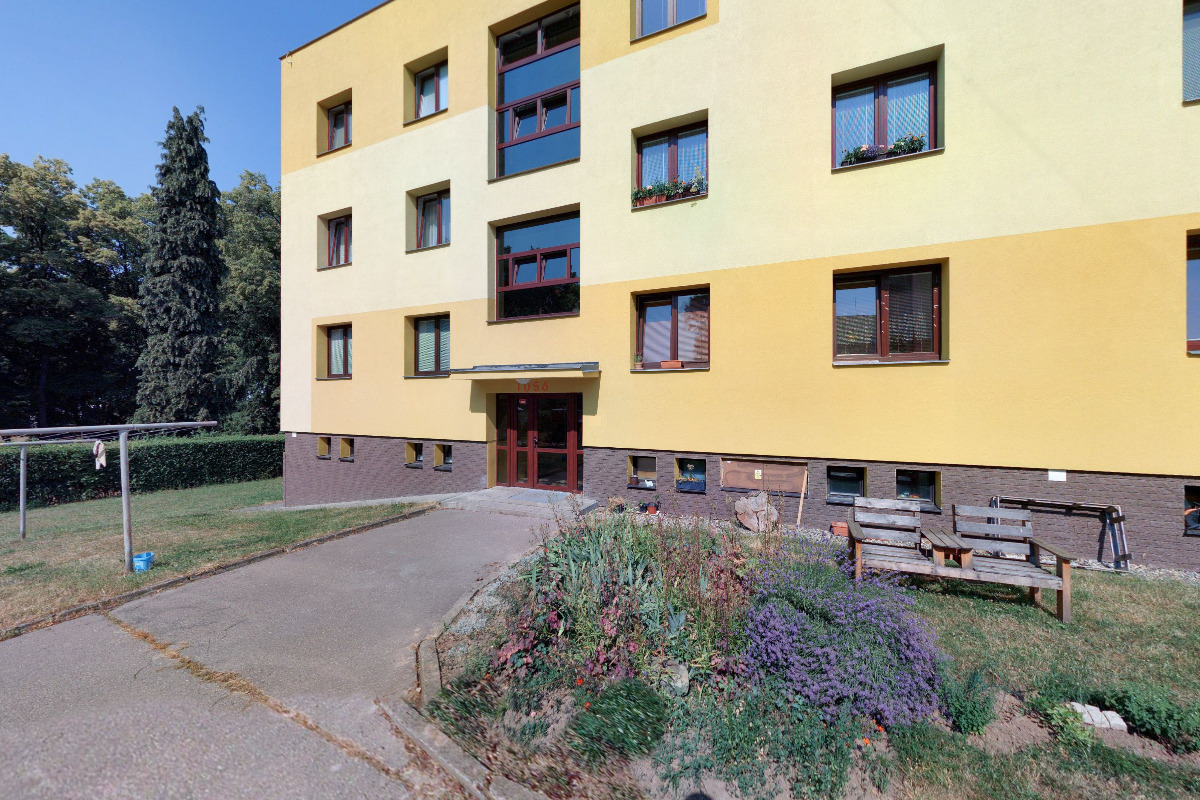 Kácení, prořezy a redukce stromů - Milan Churý foto 4