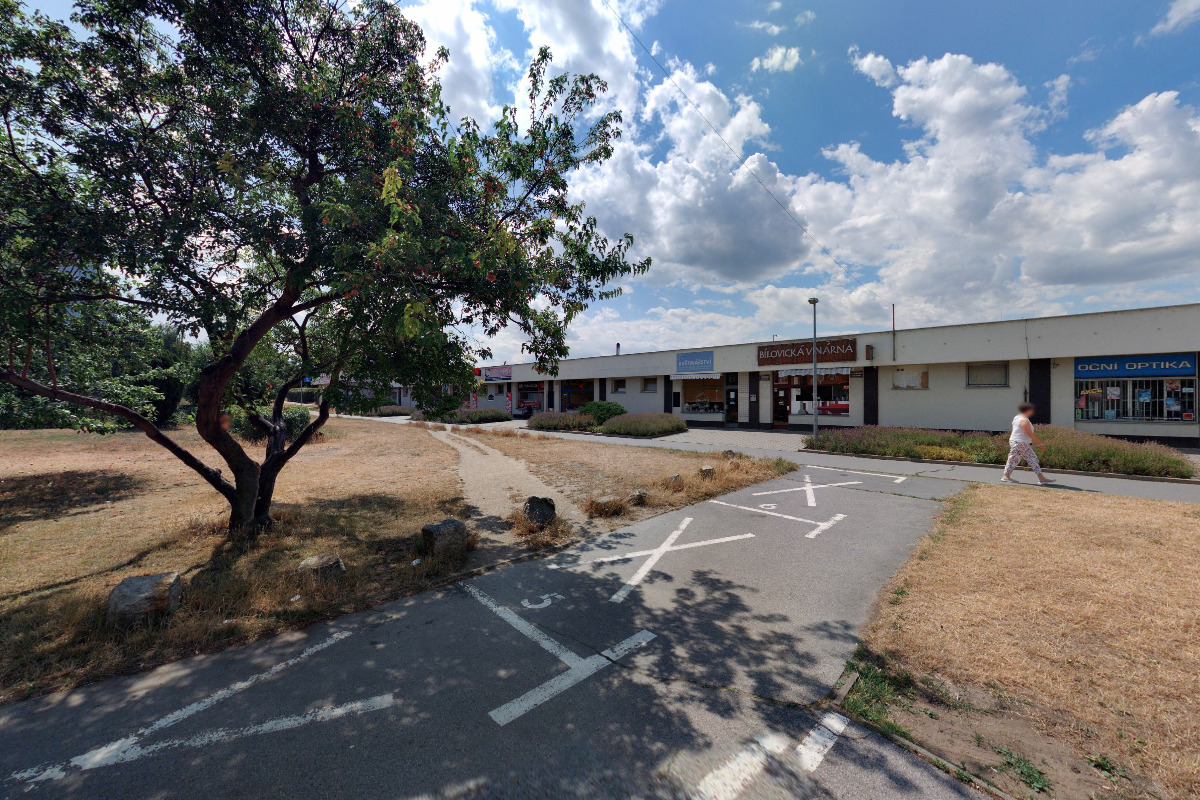 BRÝLOVÉ OBRUBY - Miloslav Horáček