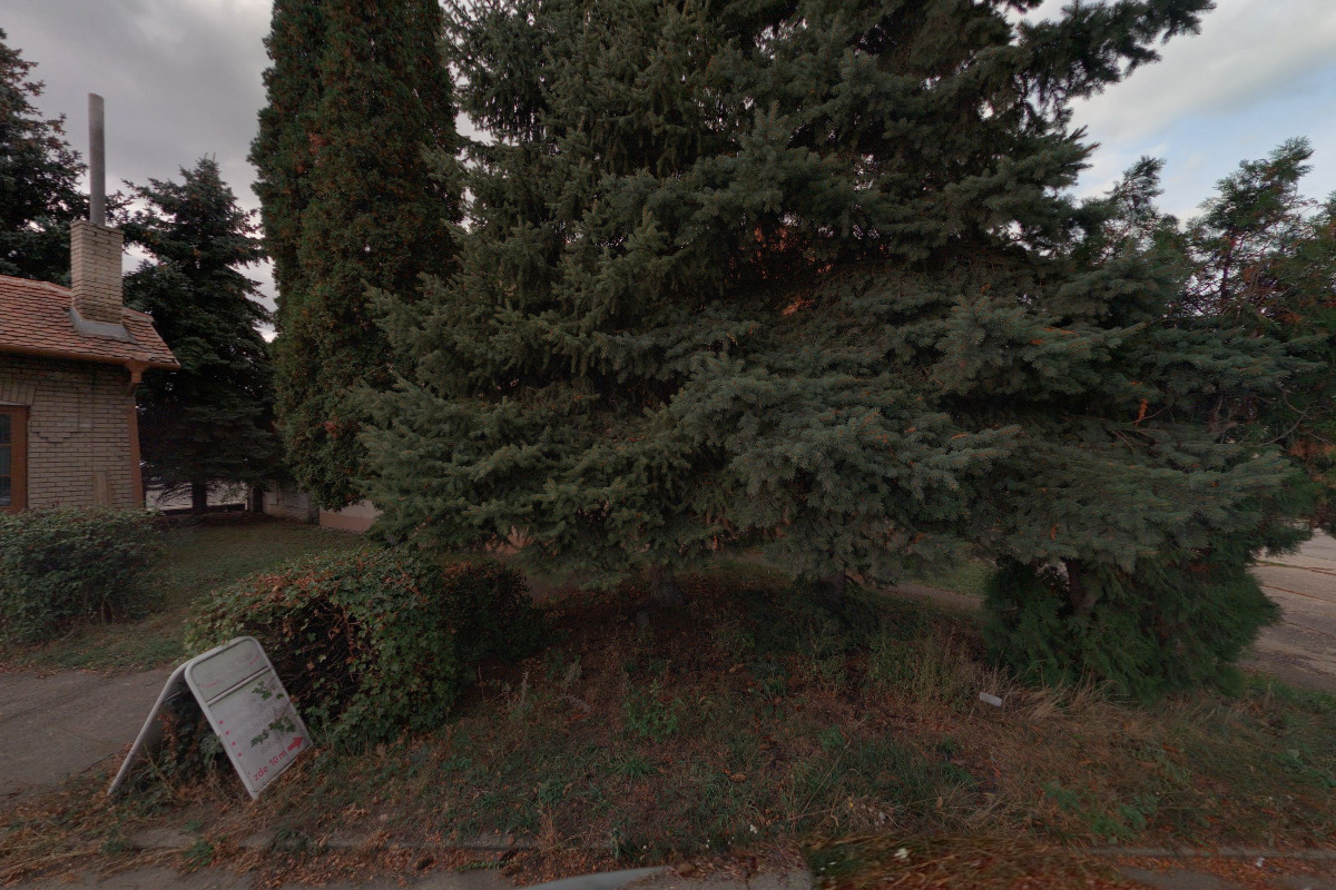 Hodinový manžel - Martin foto 2