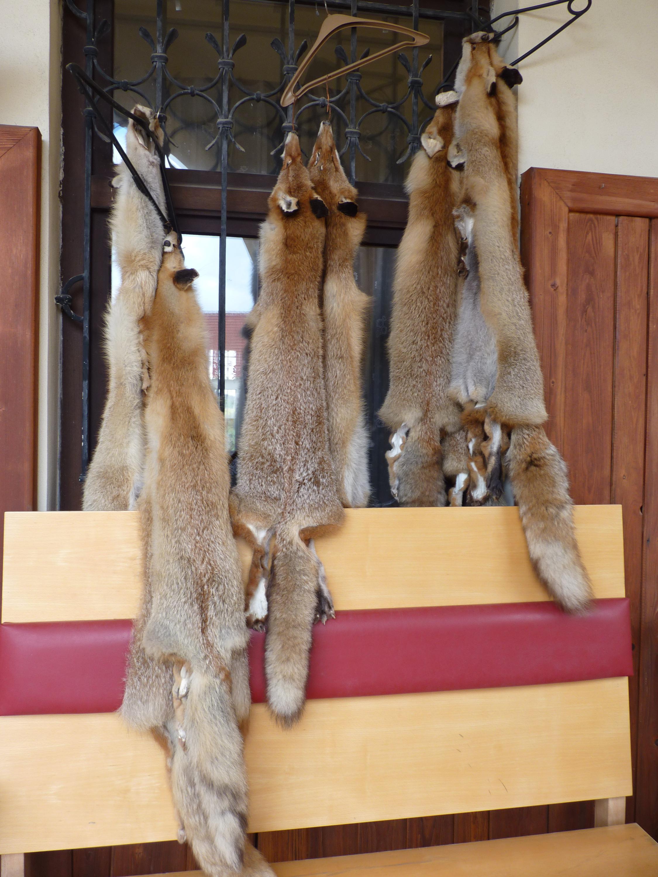Restaurace Sudický Dvůr foto 5