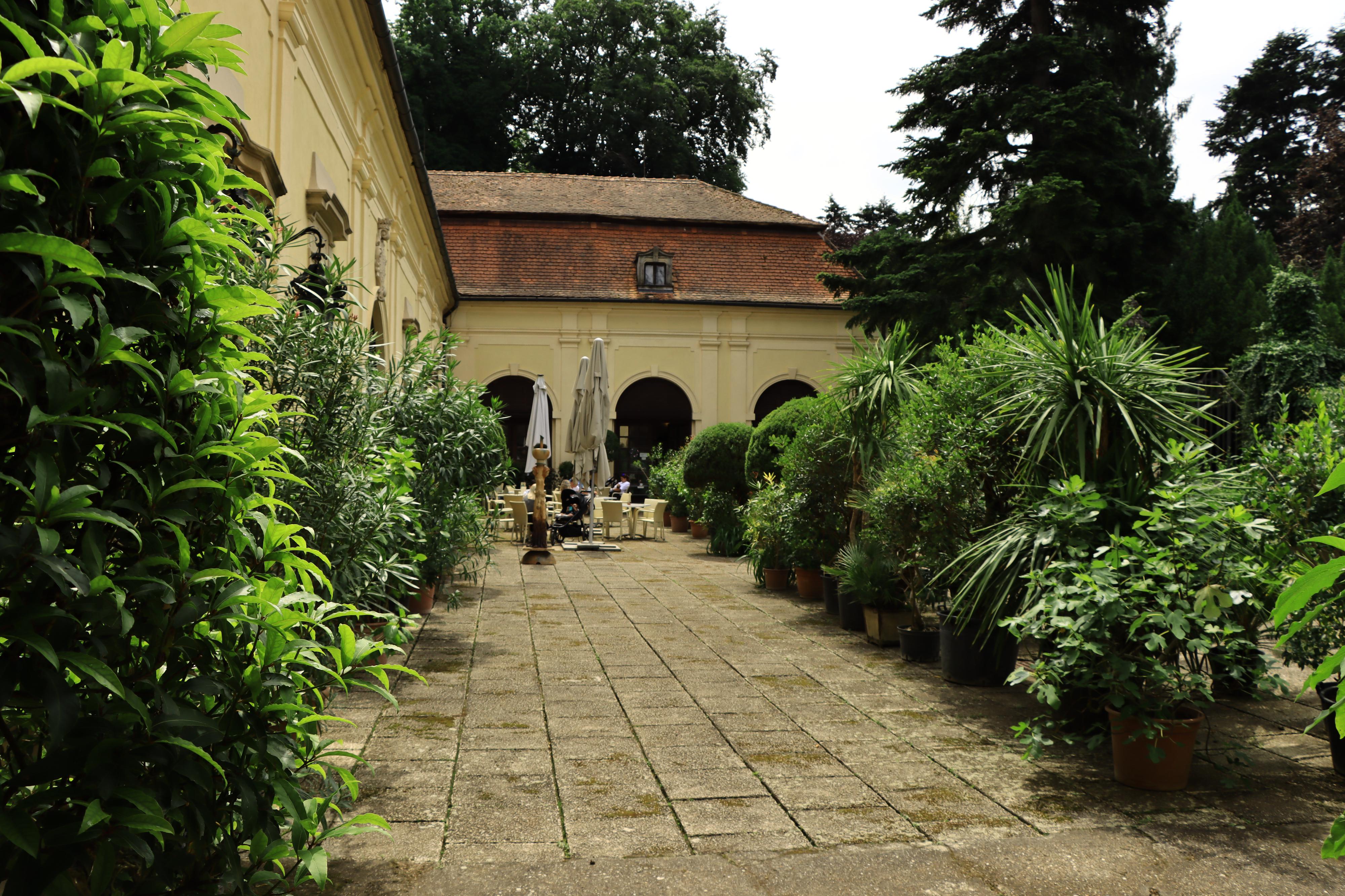 Čokoládové království