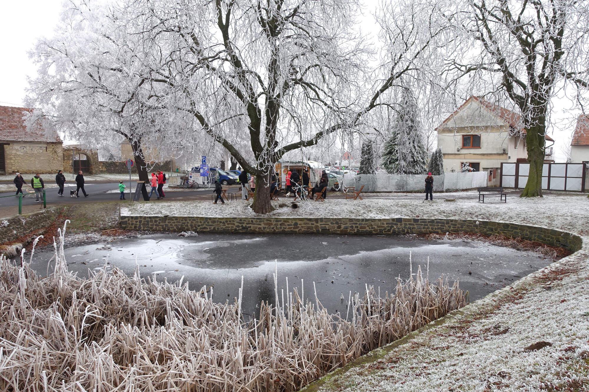 KÁVAvan foto 5