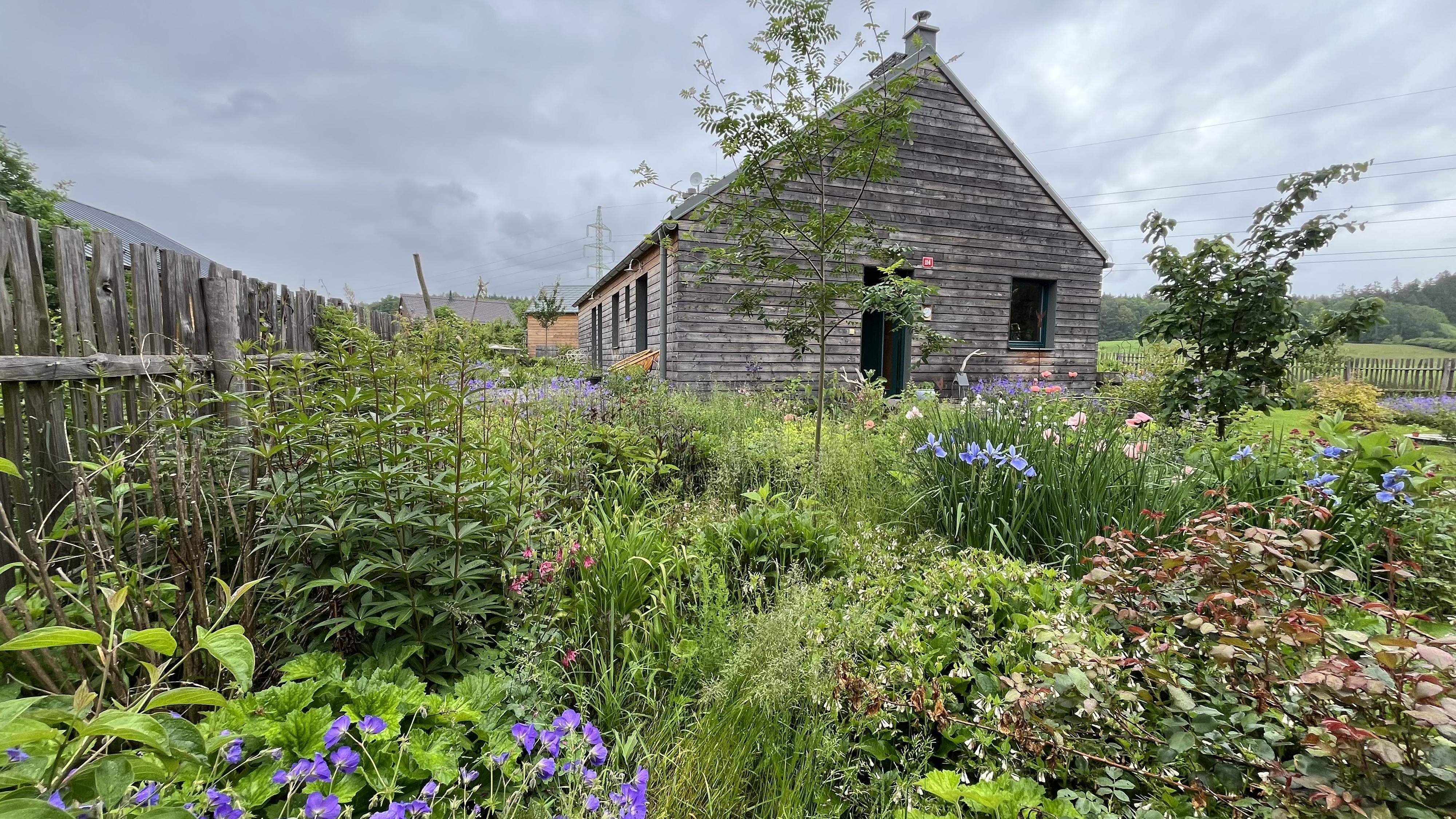 Beryvzahrade - Eva Beránková foto 5