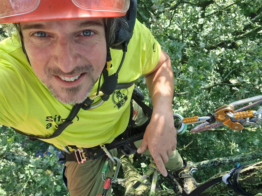 Arboristika Michal Sedláček foto 3