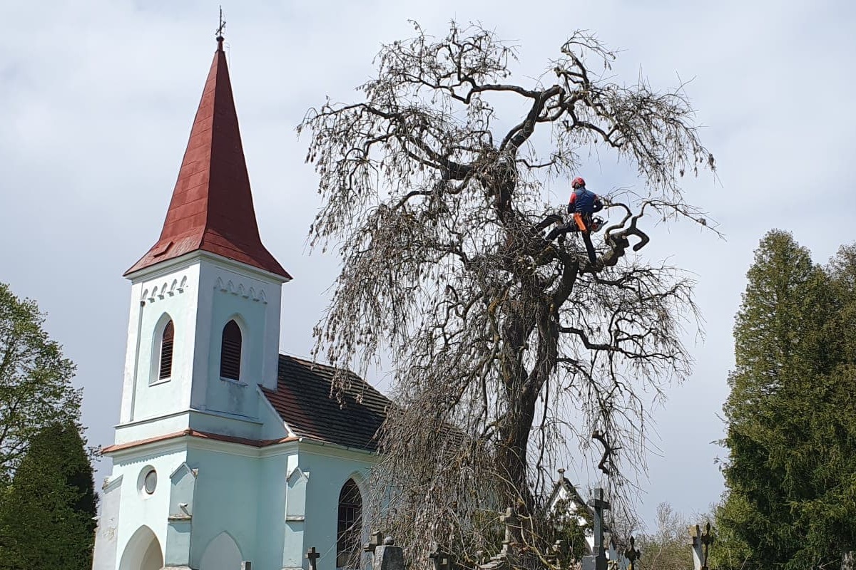 Arboristika Michal Sedláček foto 2