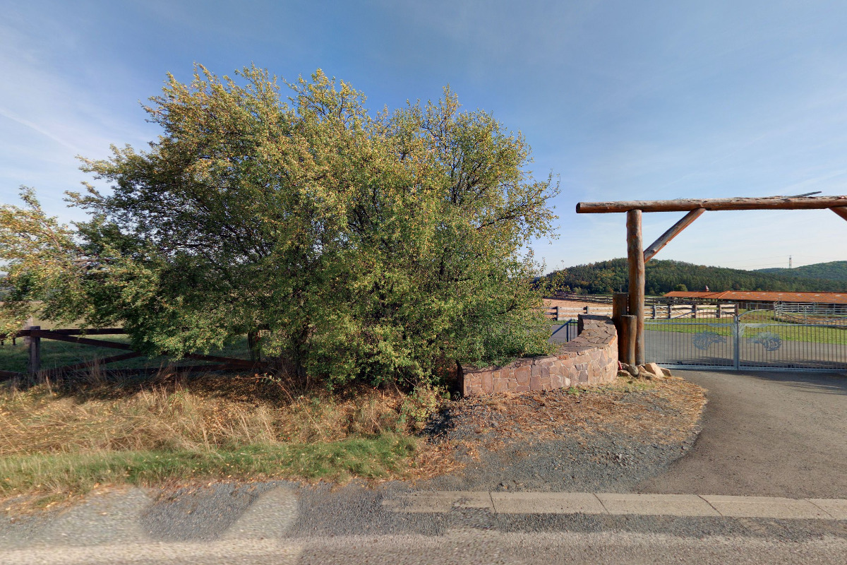 Ranč v Buši foto 5