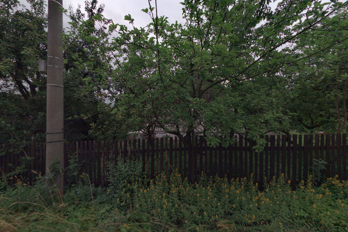 Daňový poradce ev. č. 2949 Mgr. Libuše Čálková foto 2