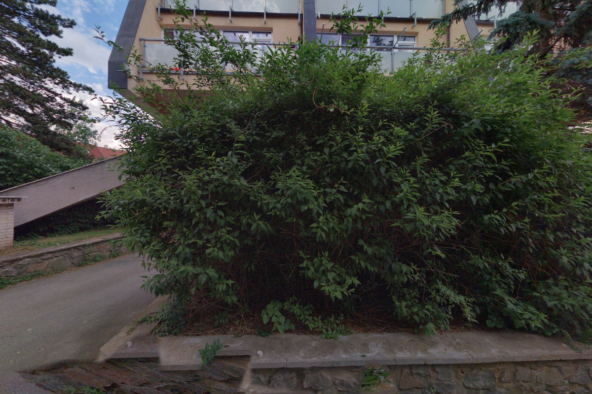 Mgr. Milena Řehořová, Ph.D.- osobní kouč