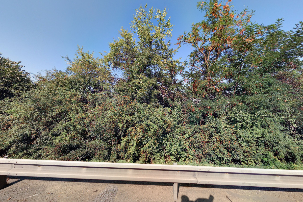 PRONACHEM, spol. s r.o.