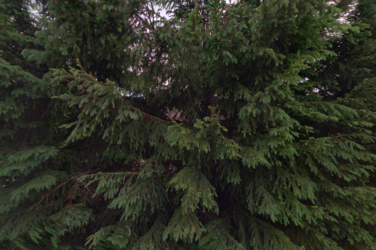 Stavlessmejkal s.r.o.