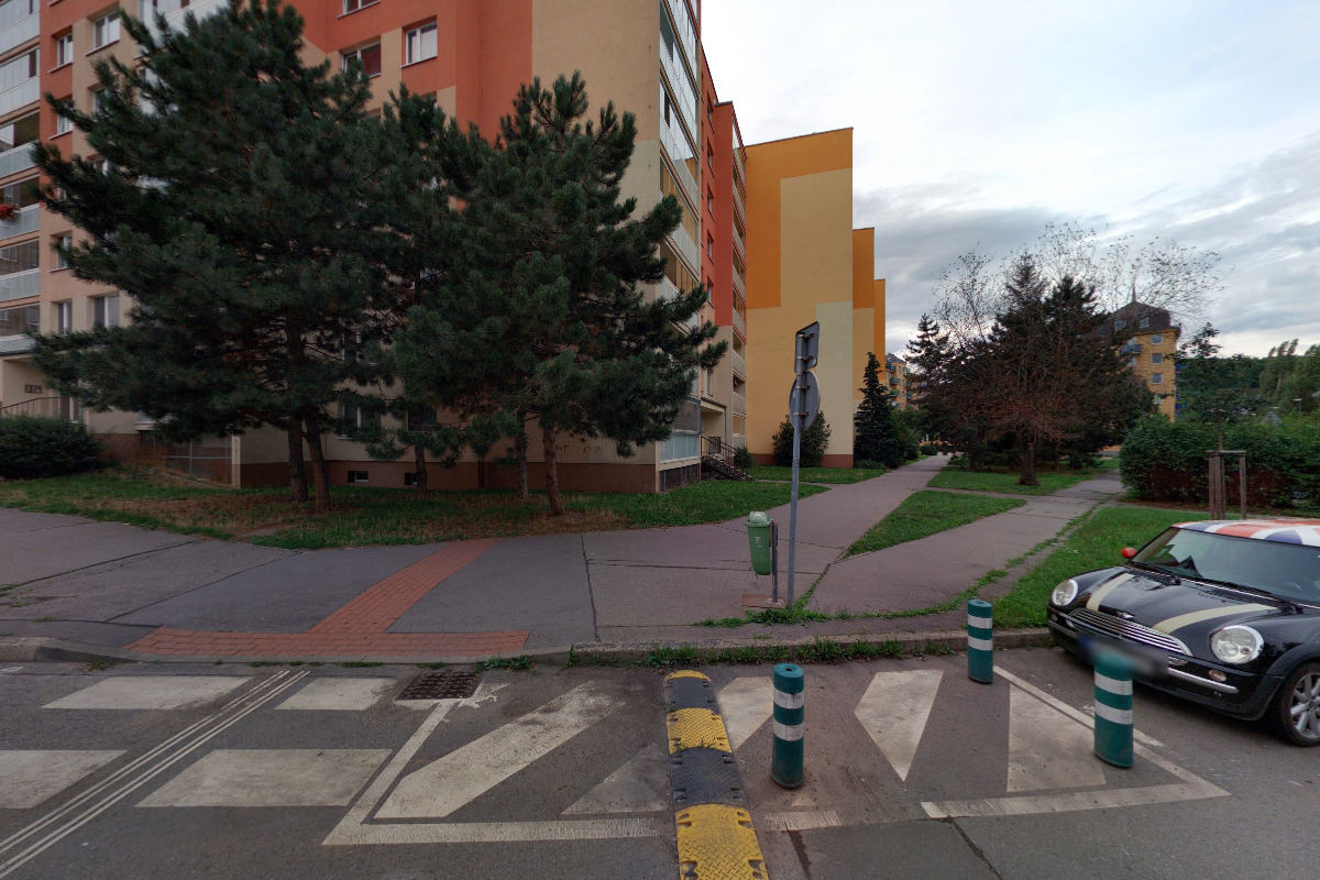 Hodinový manžel Vladimír