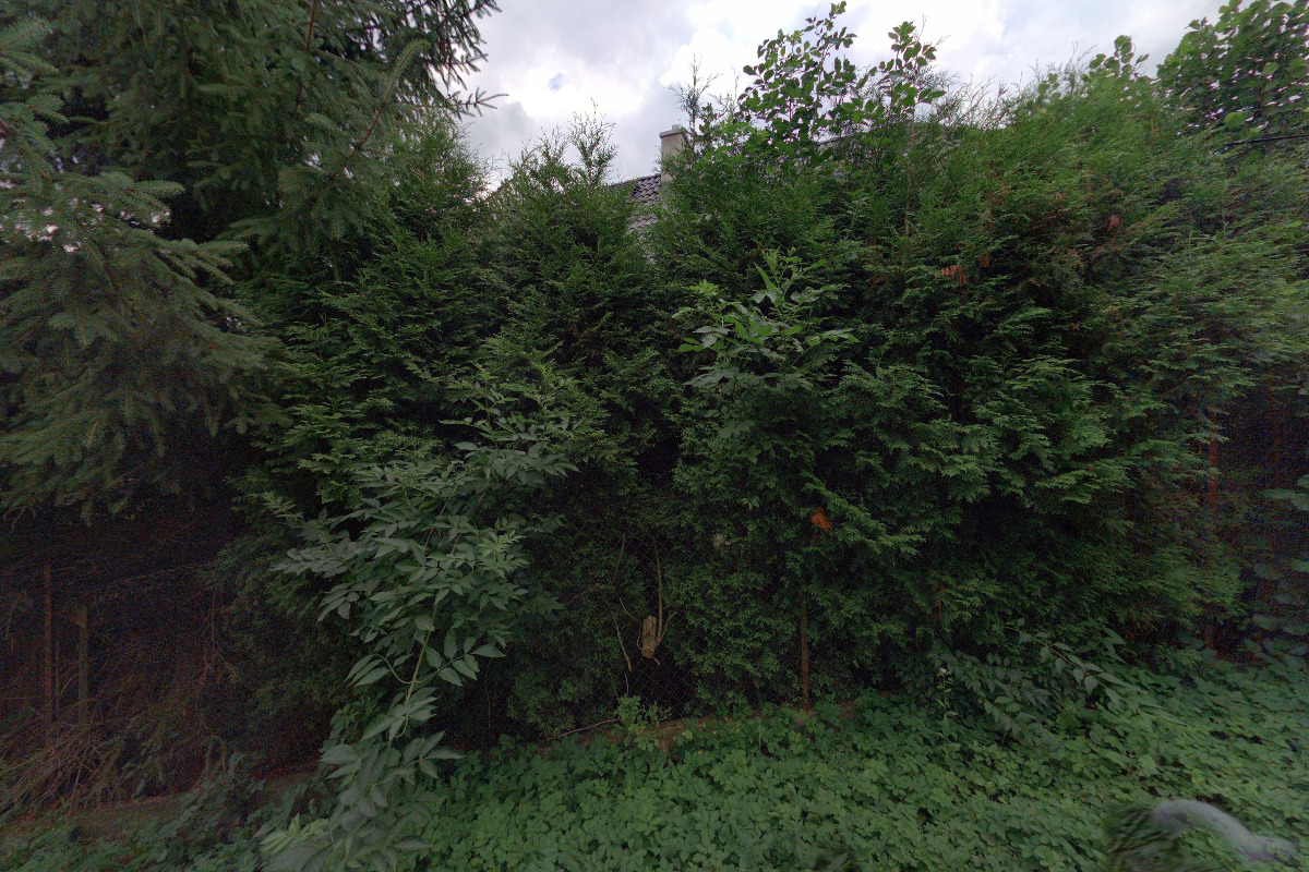 Ing. Jaroslav Javůrek