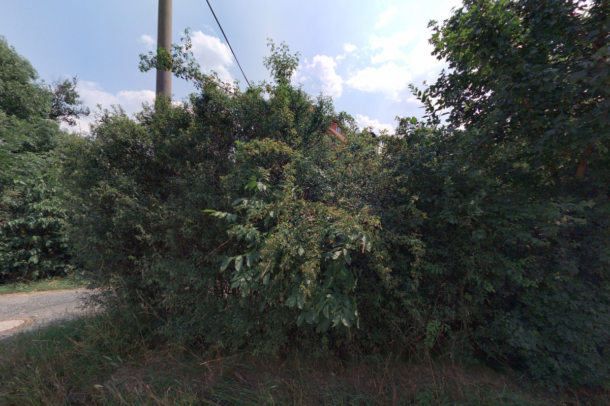 Institut Existenciální Hagioterapie