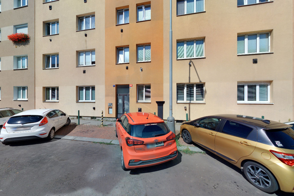 Dana Baslová foto 2