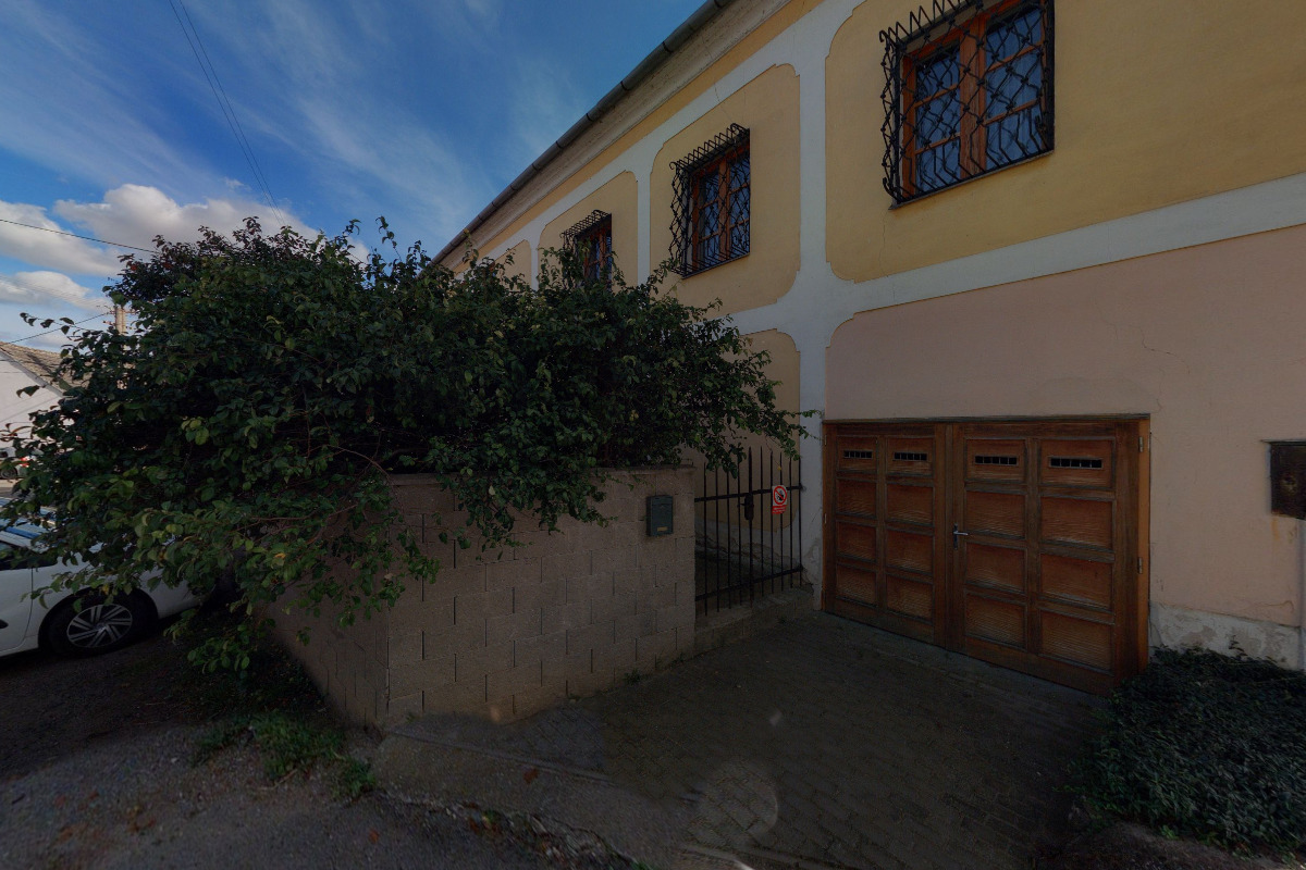 Archeologický ústav AV ČR, Brno, v.v.i.