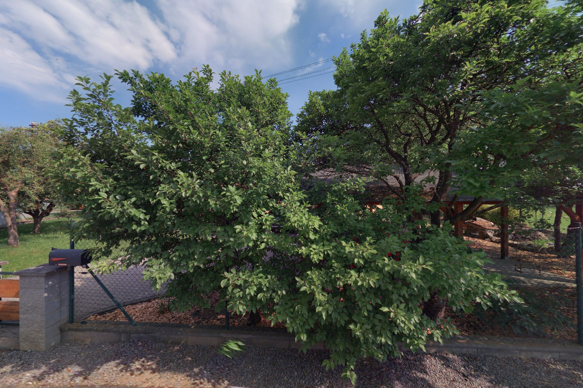 Sotware pro automatizac Rudice