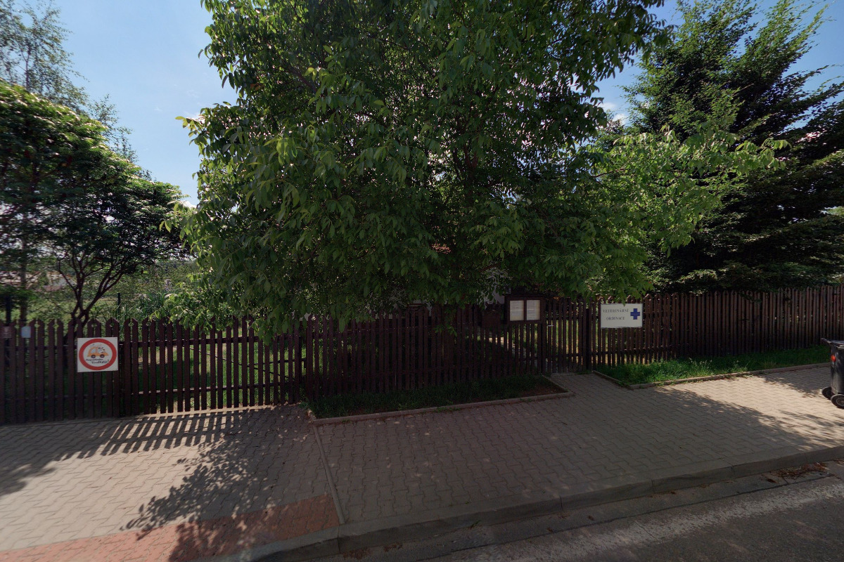 Veterinární ordinace - MVDr. Jan Jíša foto 3