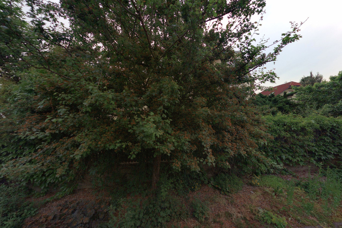 Víno a lahůdky Kuchsyn foto 2