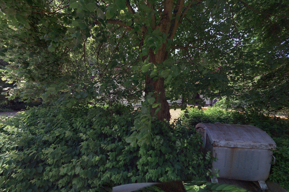 Geladrink - ORLING s.r.o. foto 5