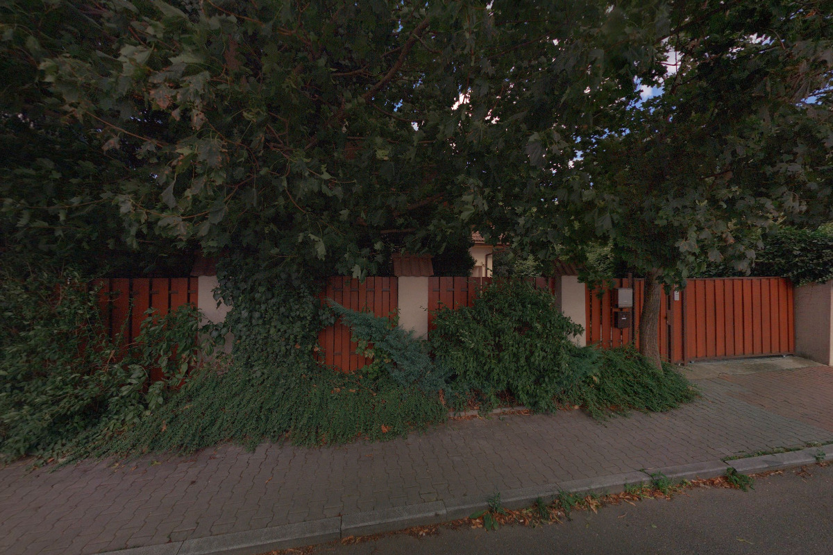 Detektiv potravinových alergií