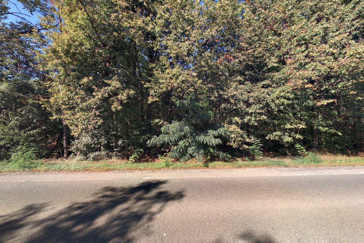 Moravskoslezský kynologický svaz Kynologický klub Brno-Líšeň, pobočný spolek