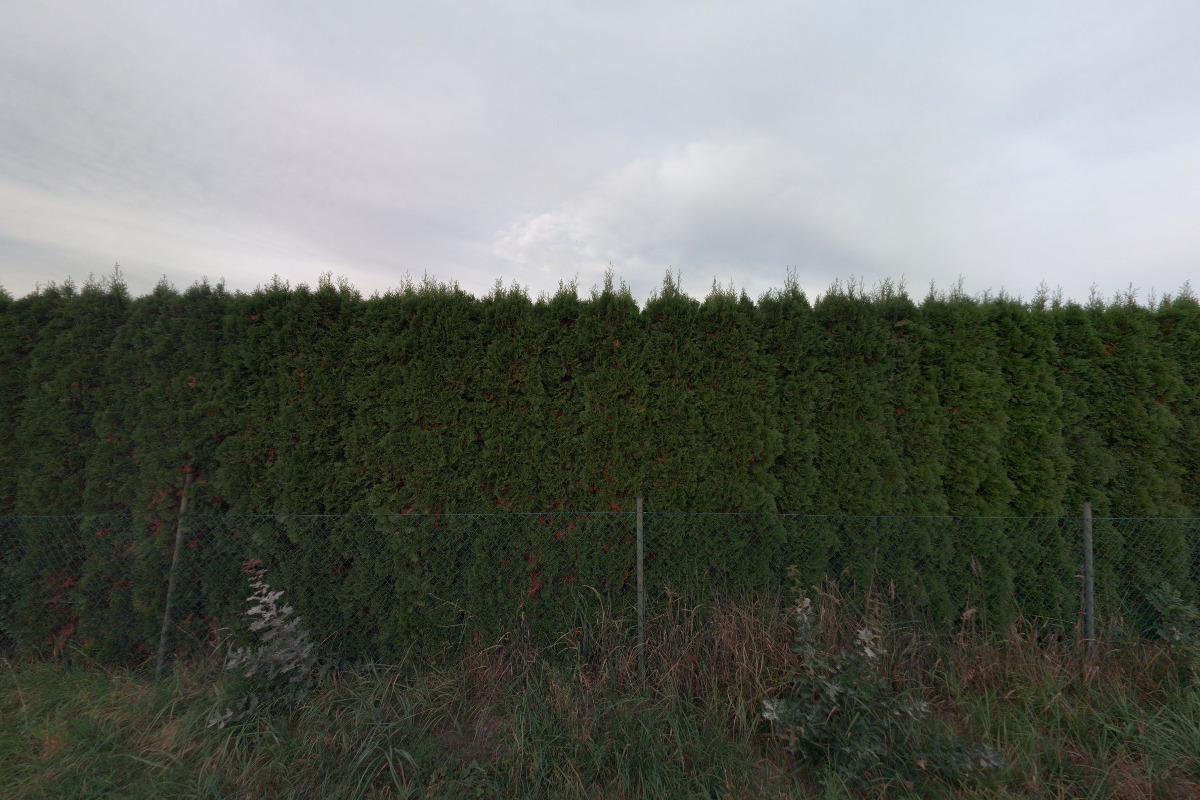 Vilém Hodouš foto 1