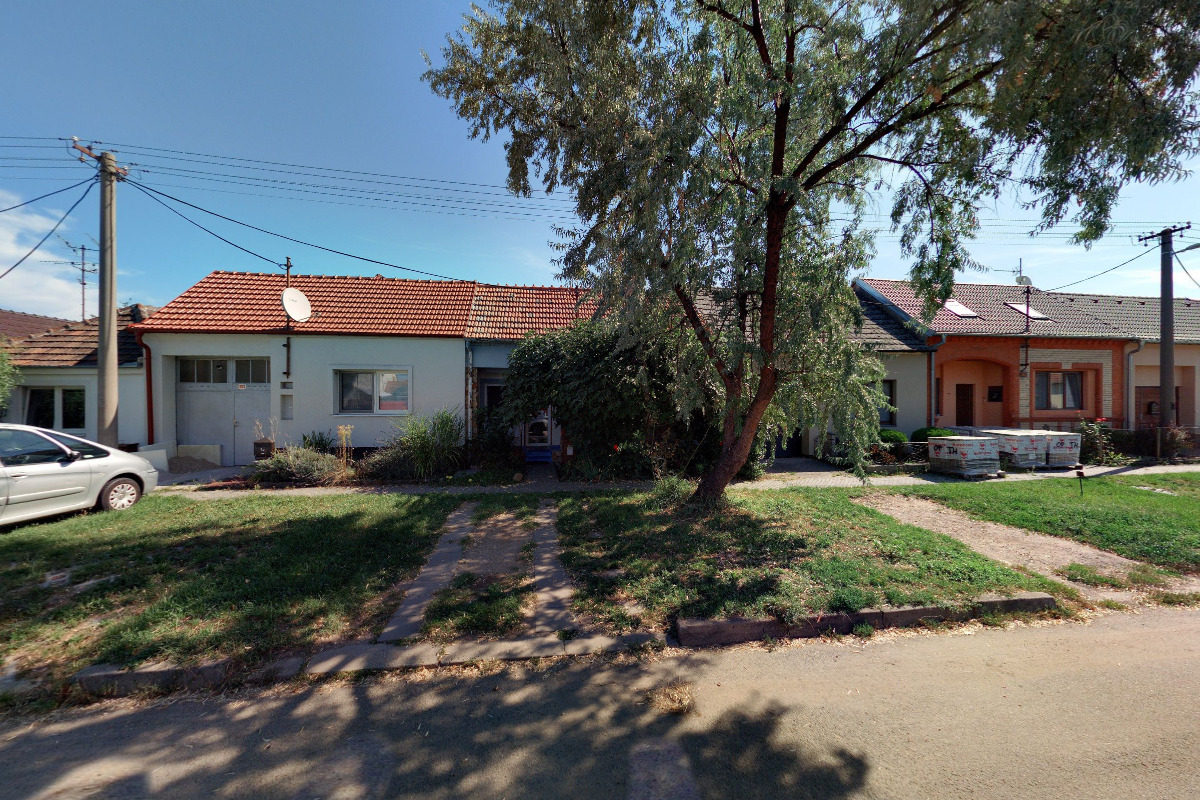 Alena Zacharová - stříhání psů