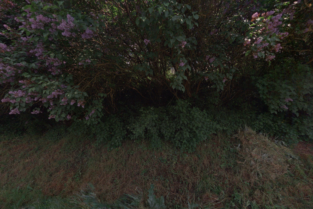 Obecní knihovna Újezd u Černé Hory