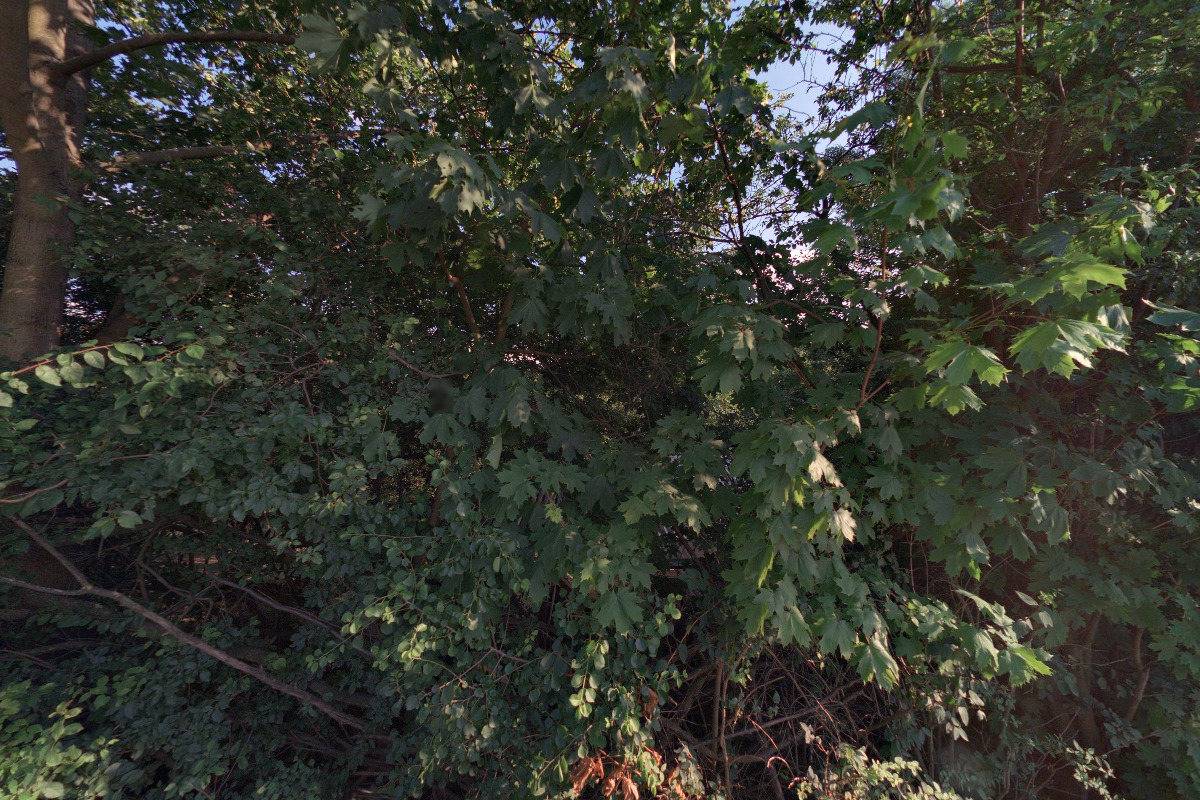 Lesní mateřská škola Jaata foto 2