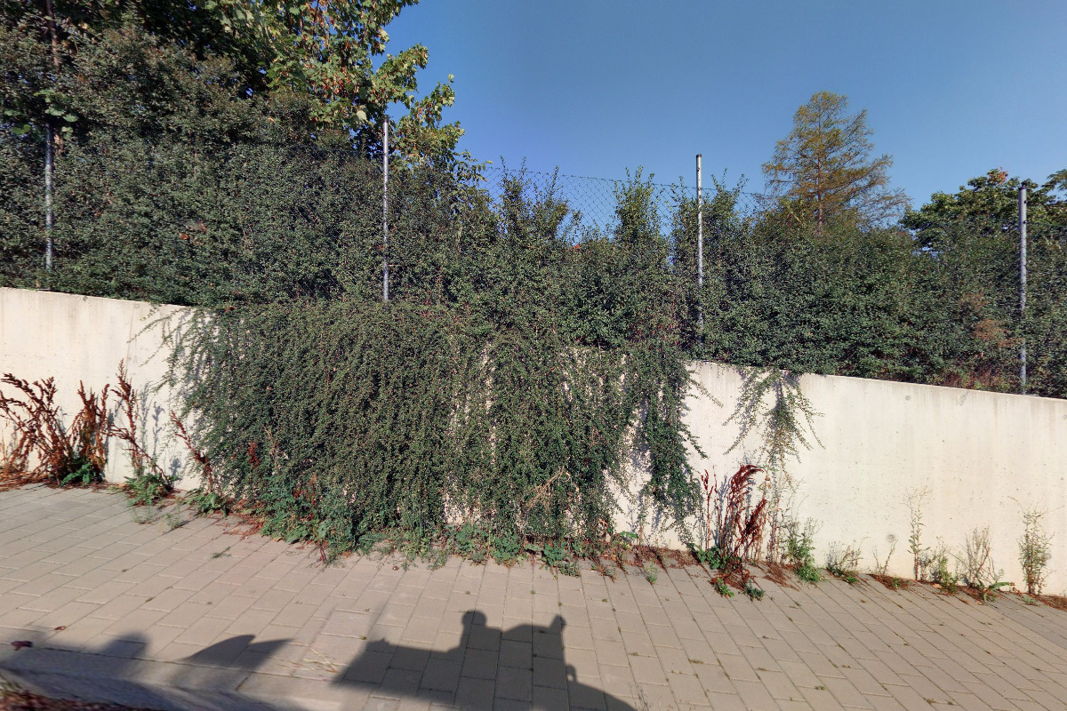 Lištička - lesní mateřská škola