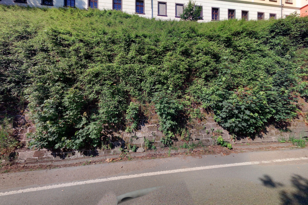 Střední škola gastronomická a technická Žamberk foto 6